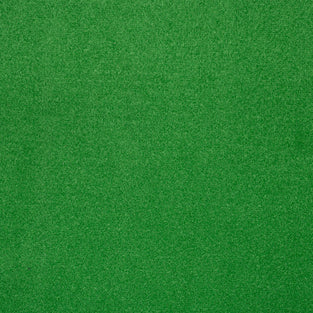Light Green Outdoor Carpet