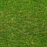 Palm Spring 47mm Artificial Grass