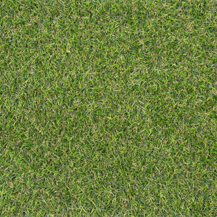 Rawcliffe 17mm Artificial Grass