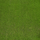 Someroaks 42mm PU Backed Artificial Grass