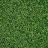 St Andrews 18mm Putting Green Artificial Grass