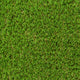 Beechway 30mm Artificial Grass