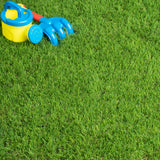 Chestermere 25mm Artificial Grass