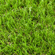 Derwent 30mm Artificial Grass