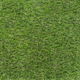 Palmbank 35mm PU Backed Artificial Grass