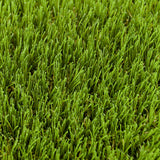 Firbrook 37mm Artificial Grass