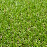 Ravendale 19mm Artificial Grass