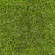 Holly 42mm Artificial Grass