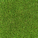 Willowdale 37mm Artificial Grass