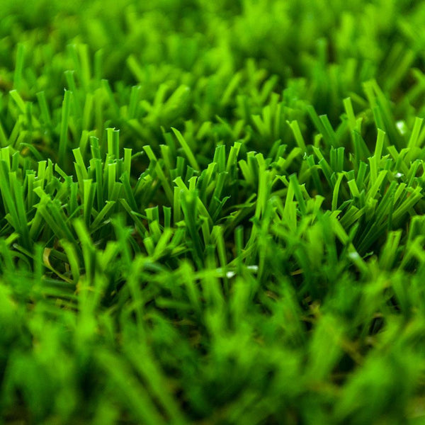 Honeysuckle 40 Artificial Grass