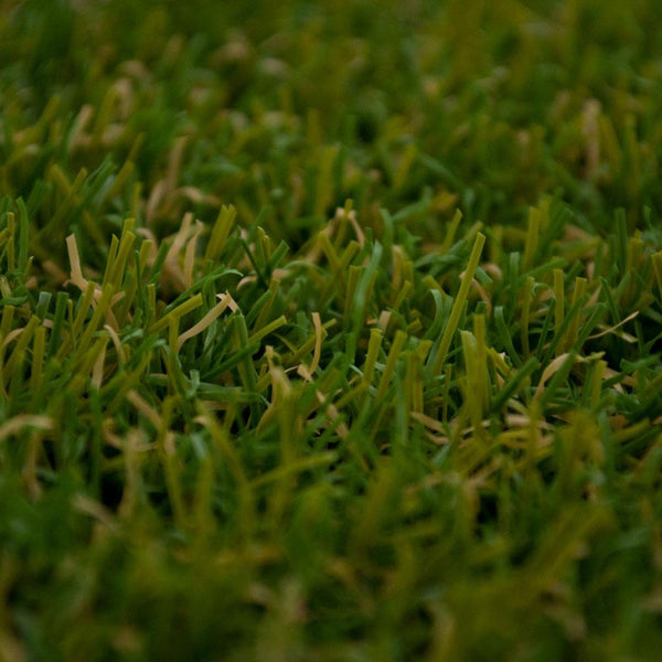 Primrose 20 Artificial Grass