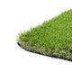Askham 37mm Artificial Grass 5m