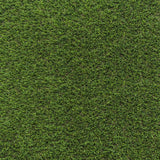 Autograph Artificial Grass