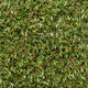 Ascot 15 Artificial Grass