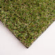 Ascot 15 Artificial Grass