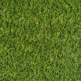 Birchcove 37mm Artificial Grass