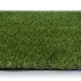 Buffalo 30 Artificial Grass