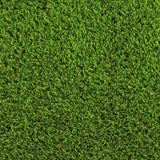 Camomile 32mm Artificial Grass