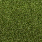 New Cargo Artificial Grass