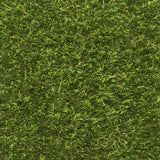 New Cargo Artificial Grass