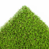 Castlevale 37mm Artificial Grass