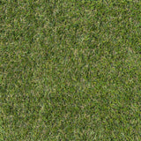 Chapelfields 22mm Artificial Grass