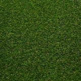 Lassen 30 Artificial Grass