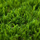 Daisy 40mm Artificial Grass 5m