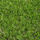 Daleside 40mm Artificial Grass 5m