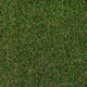 Buttercup 27 Artificial Grass