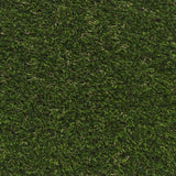Hampton Artificial Grass