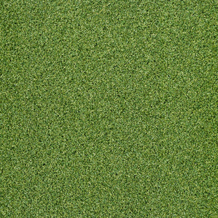 Homestead 13mm Artificial Grass