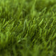 Elkstone 37 Artificial Grass