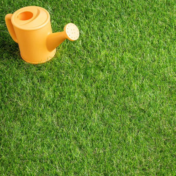 Maplespring 30mm Artificial Grass