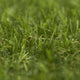 Marseilles Artificial Grass