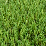 Mayfield 37mm Artificial Grass