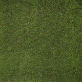 Prize 30 Artificial Grass