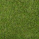 Parkdale 20mm Artificial Grass mid
