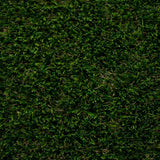 Pinnacle 42 Artificial Grass
