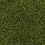 Prize 35 Artificial Grass