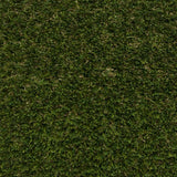 Phoenix 32 Artificial Grass