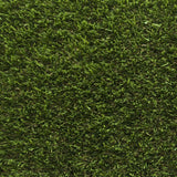 Prize 50 Artificial Grass
