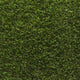 Prize 50 Artificial Grass