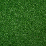 Rio 13mm Artificial Grass