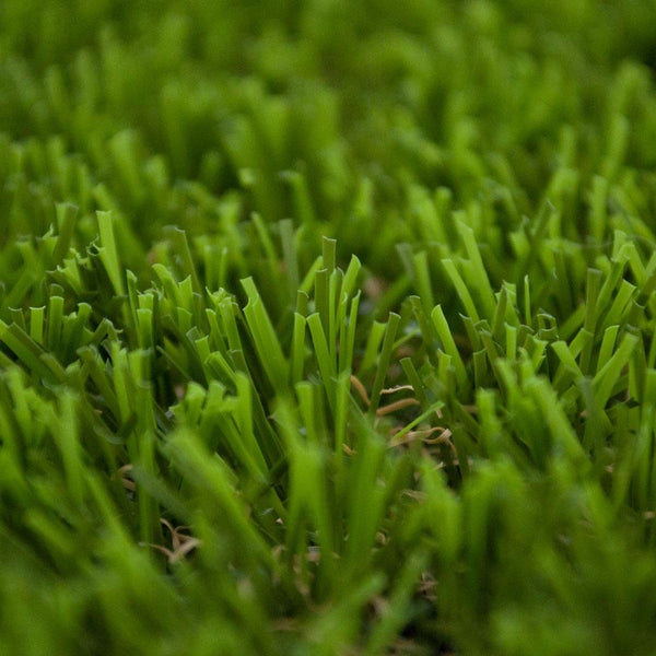 Daffodil 30 Artificial Grass