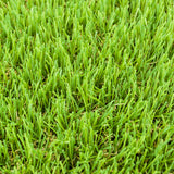 Summerhill 30mm Artificial Grass