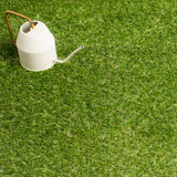 Spring Brook 20mm Artificial Grass