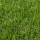 Stamford 40mm Artificial Grass
