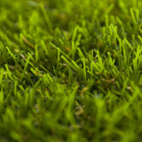 Sunflower 32 Artificial Grass