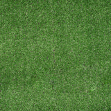 Super Budget 6mm Artificial Grass